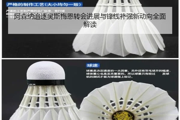 阿森纳追逐奥斯梅恩转会进展与锋线补强新动向全面解读 | BOYUSPORTS